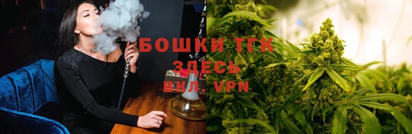 крисы Армянск