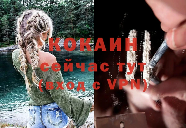 дживик Алзамай