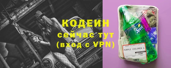 спиды Арсеньев