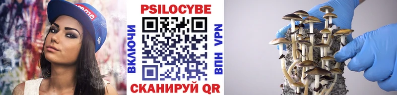 Псилоцибиновые грибы мицелий  где продают   Вихоревка 