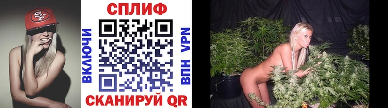 где можно купить наркотик  Вихоревка  Бошки Шишки Bruce Banner 